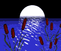 mar imaxes-animadas-gif